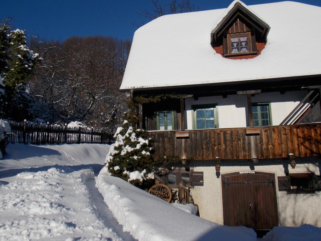Apartmani Etno Kuca Pod Okicem Samobor Habitación foto